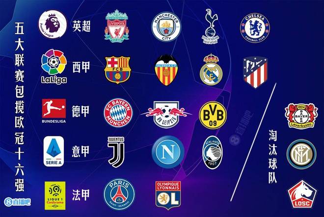 伦敦奥运马术冠军与爱马同日安乐死：二十载相伴书写辉煌传奇（伦敦奥运马术冠军与爱驹同日安乐死：二十年相伴铸就荣光）