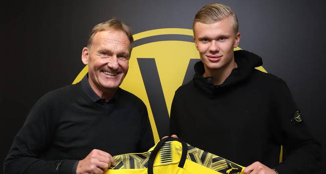 多平